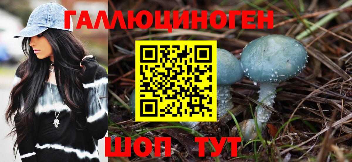 Псилоцибиновые грибы Magic Shrooms Петропавловск-Камчатский